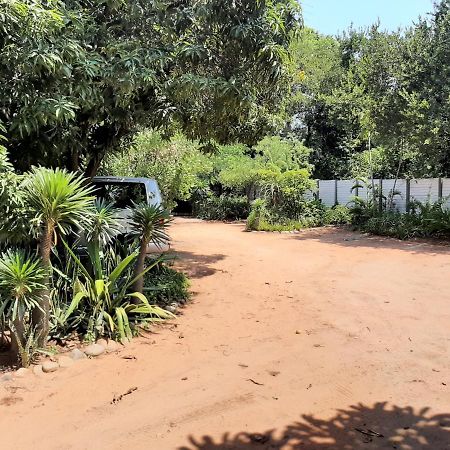 Elephant Walk Guesthouse And Back Packers 팔라보르와 외부 사진