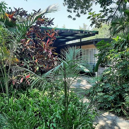 Elephant Walk Guesthouse And Back Packers 팔라보르와 외부 사진