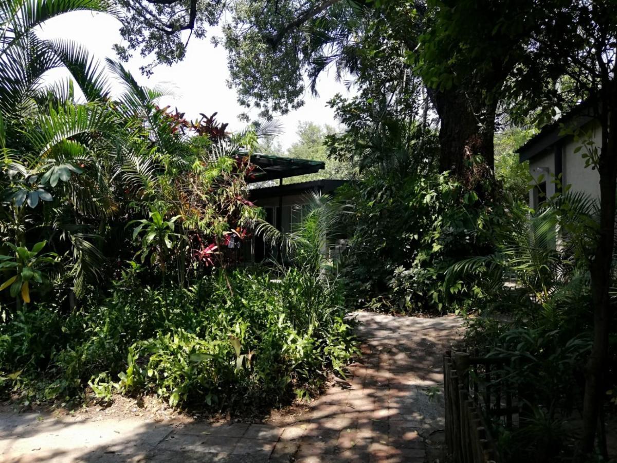 Elephant Walk Guesthouse And Back Packers 팔라보르와 외부 사진