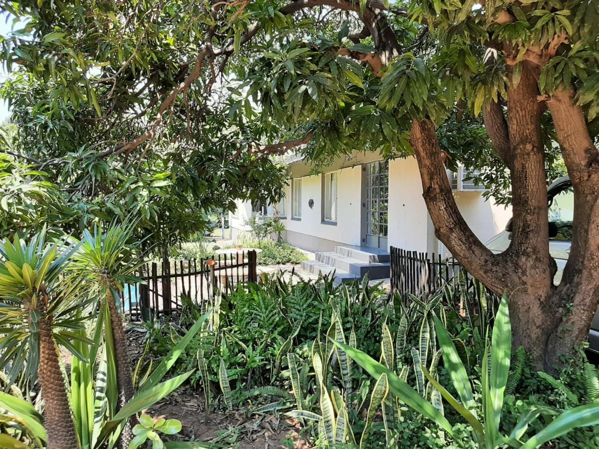 Elephant Walk Guesthouse And Back Packers 팔라보르와 외부 사진