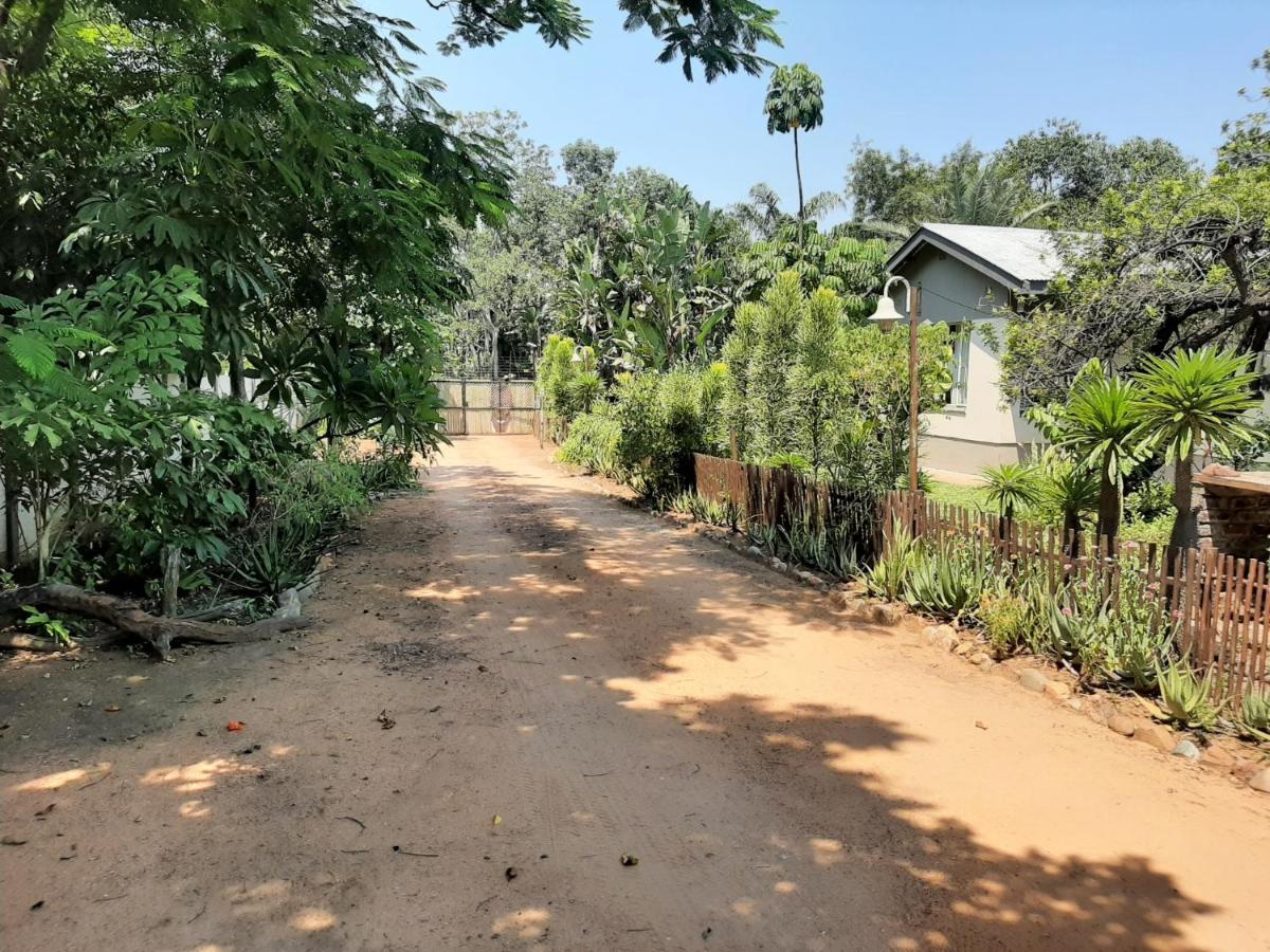 Elephant Walk Guesthouse And Back Packers 팔라보르와 외부 사진